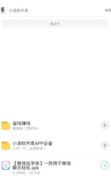 小浪软件库国际版