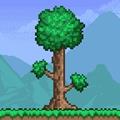 泰拉瑞亚1.4.5.2免费版