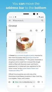 Kiwi Browser安卓版浏览器