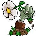 植物大战僵尸E版支线中文版