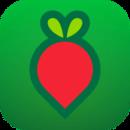 叮咚买菜老版本app