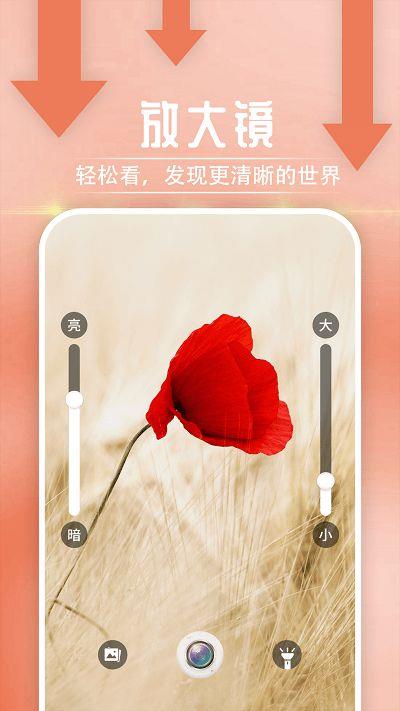阅读大字报