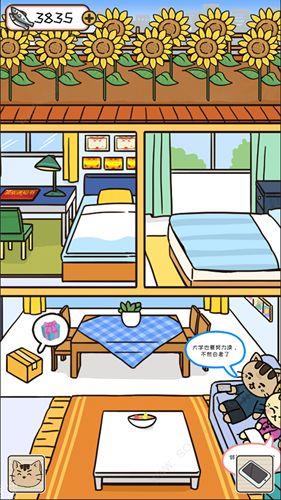 离家的猫下载正版