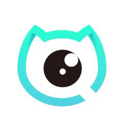 洞察猫