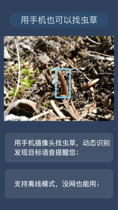 幸运之眼虫草挖掘辅助