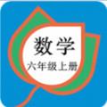 六年级数学上册人教版