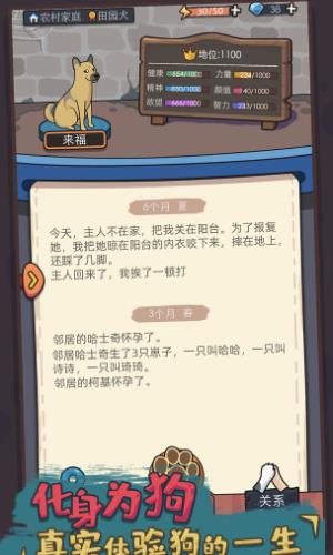 狗生模拟器最新版