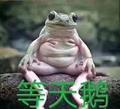 小天鹅给个机会表情包
