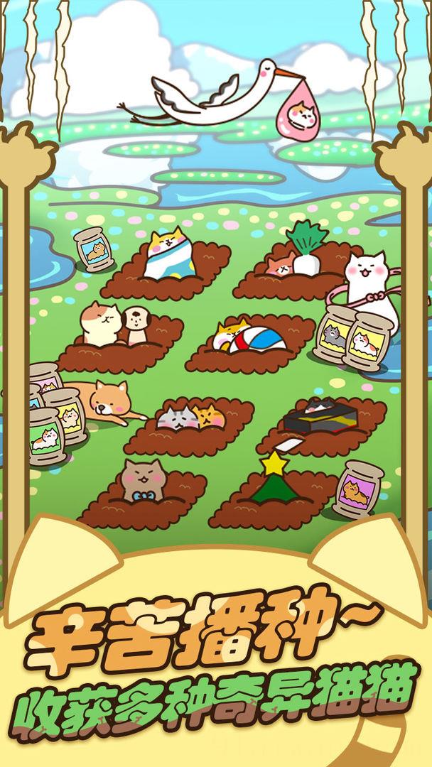 猫咪田园最新版