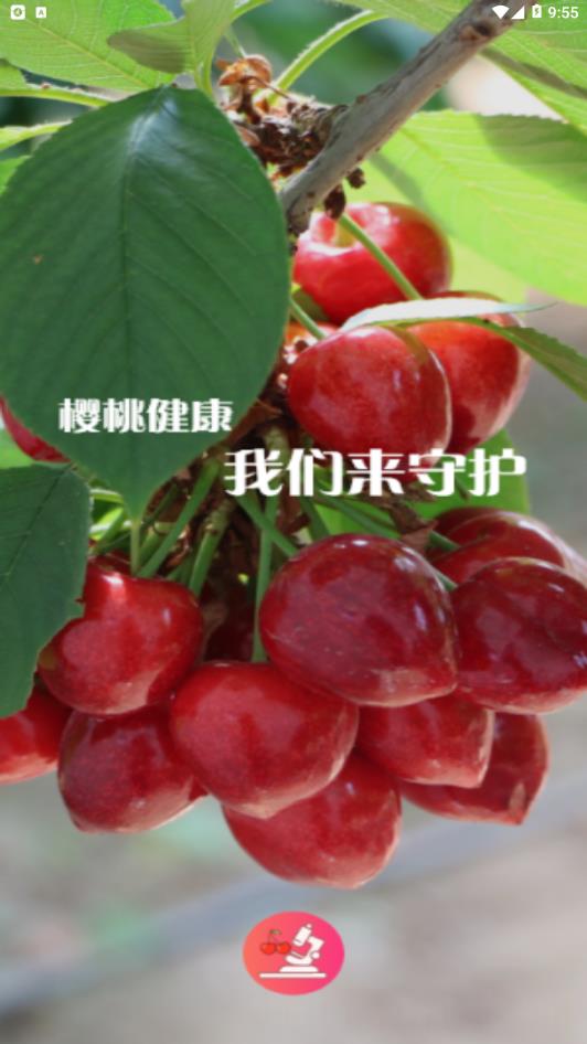 樱桃医生app