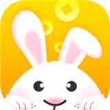 萌兔乖乖