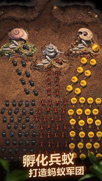 小小蚁国最新版中文版