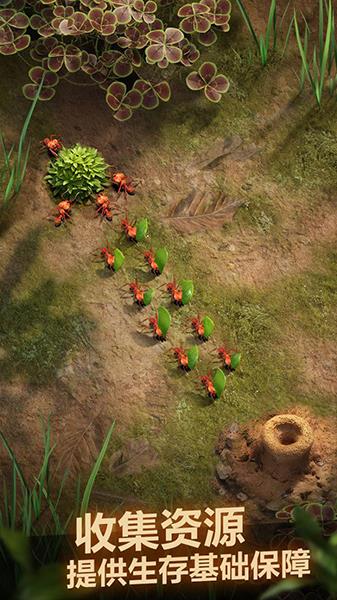 小小蚁国中文手机版