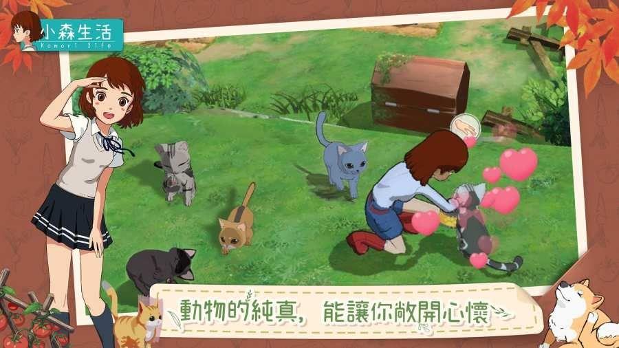 小森生活国际服