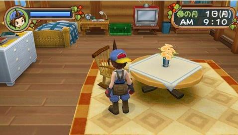 牧场物语蜜糖村与大家的心愿