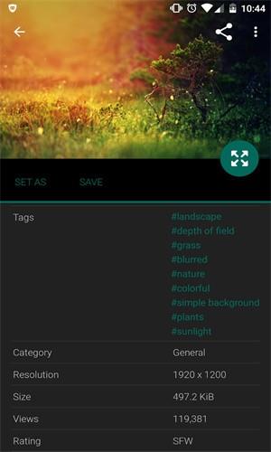 wallhaven软件最新版