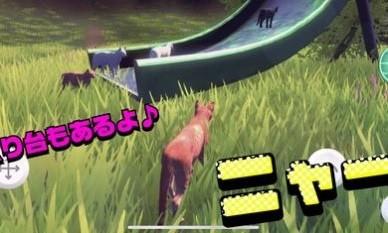 猫的春天游戏安卓版