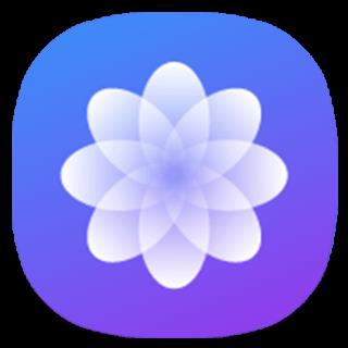 墨鱼主题app安卓最新版