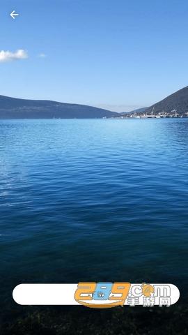 墨鱼主题app纯净版