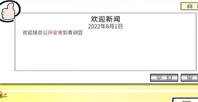 职业足球生涯