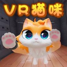 我是大橘猫