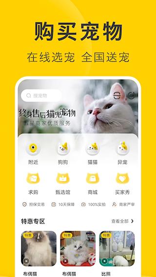 买只宠物