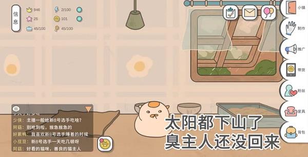 主播和猫的故事游戏