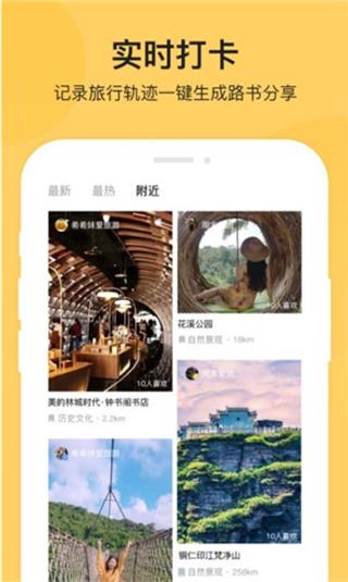 树旅