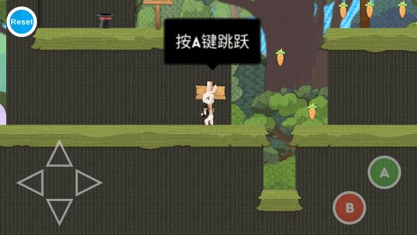 追逐繁星的兔子
