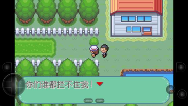 口袋妖怪新世界传奇彼岸花绽放之夜