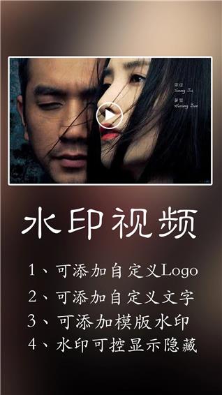 水印王软件