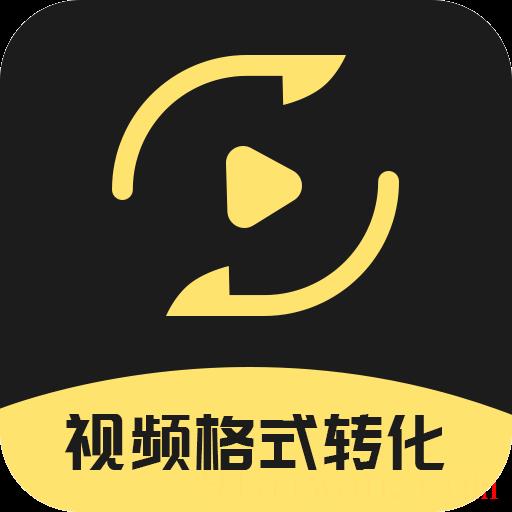 视频格式转换王