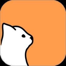 猫鱼日程
