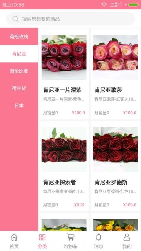 宋宇花城