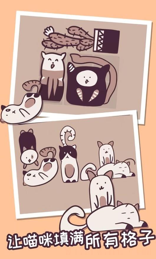 井然有猫