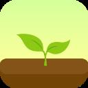 forest最新官方版