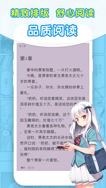 石头追书