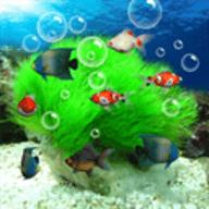 水族馆