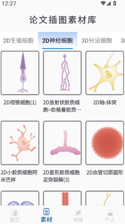论文