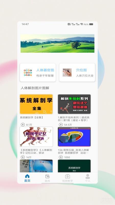 解剖图谱