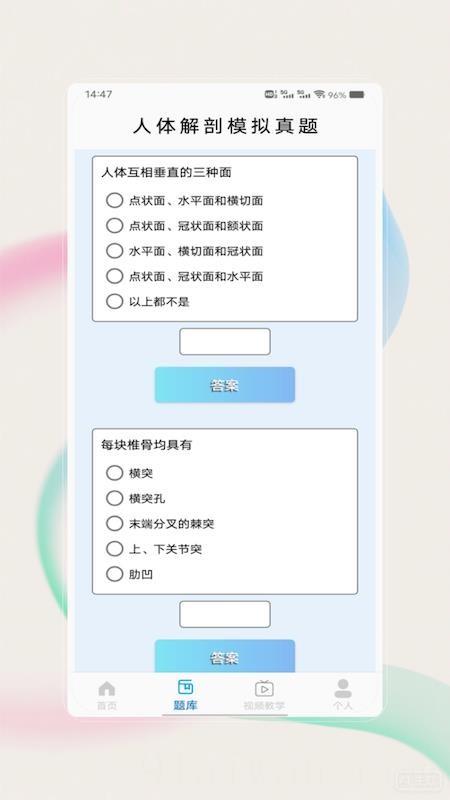 解剖图谱