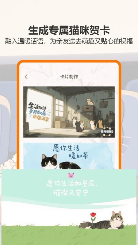 治愈猫咪