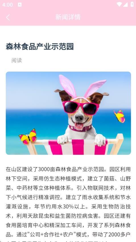 智农先锋