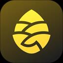 松果电单车app(松果出行)