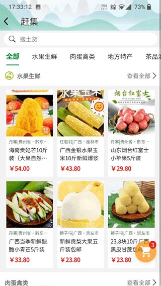 嗨走乡村平台