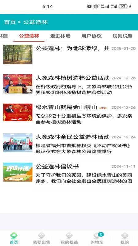 大象森林
