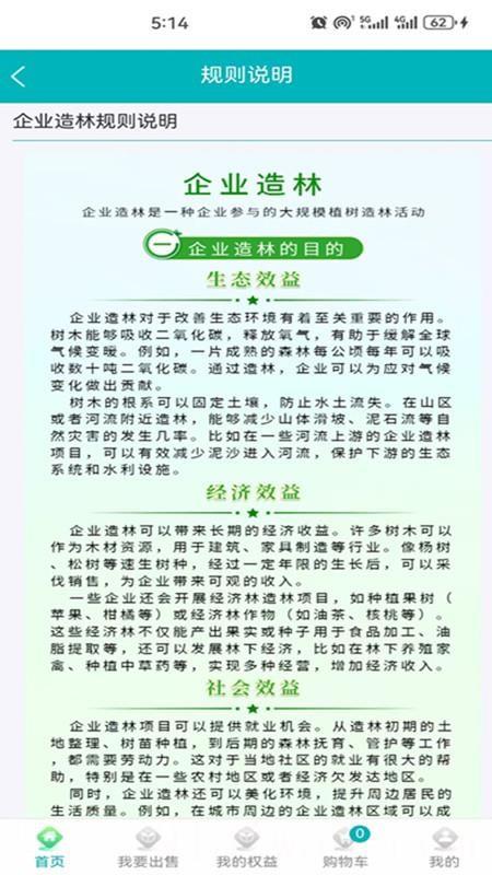 大象森林