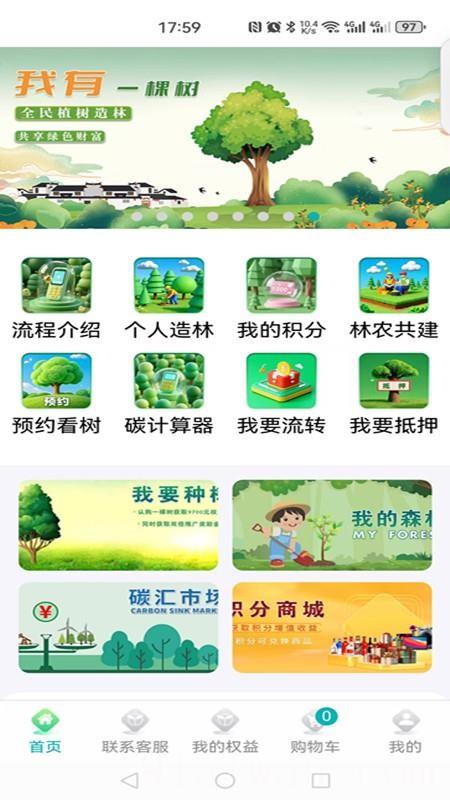 大象森林