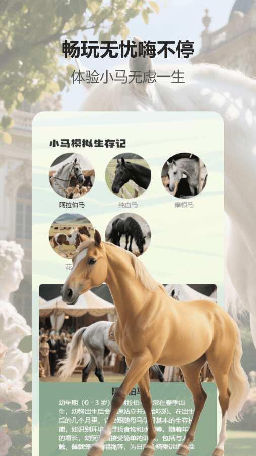 小马游戏模拟器8.0版本