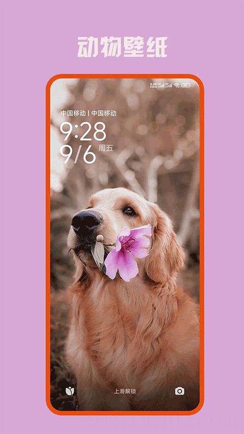 口袋免费壁纸app